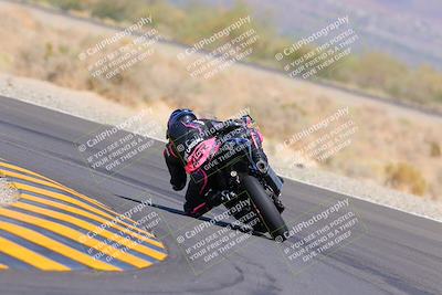 media/Oct-09-2022-SoCal Trackdays (Sun) [[95640aeeb6]]/Turn 14 Backside (1125am)/